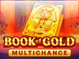 Book Of Gold Multichance